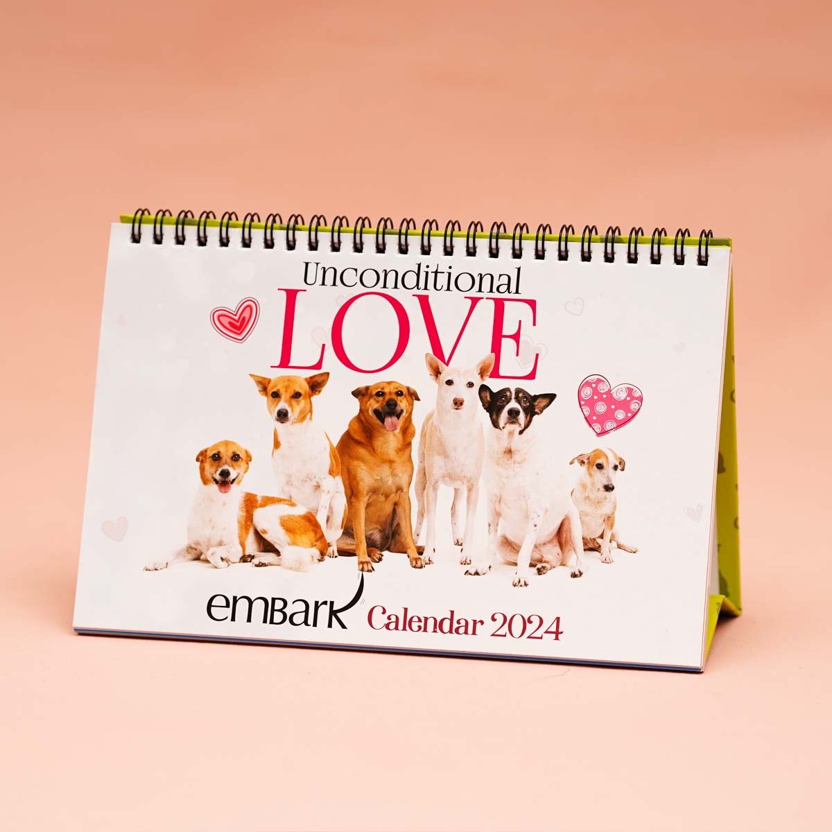 Embark 2024 Calendar