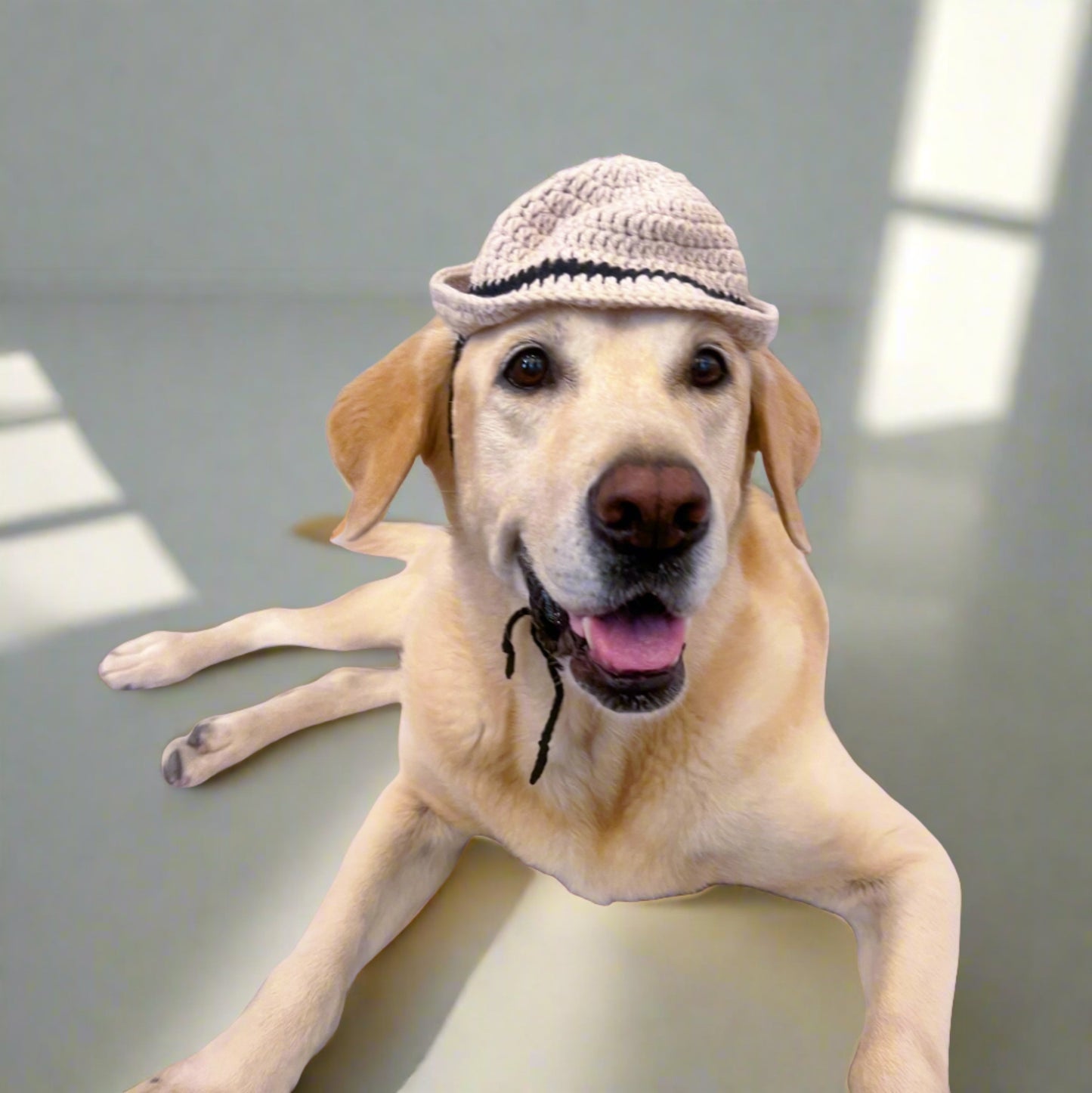Bowler Crochet Dog Hat