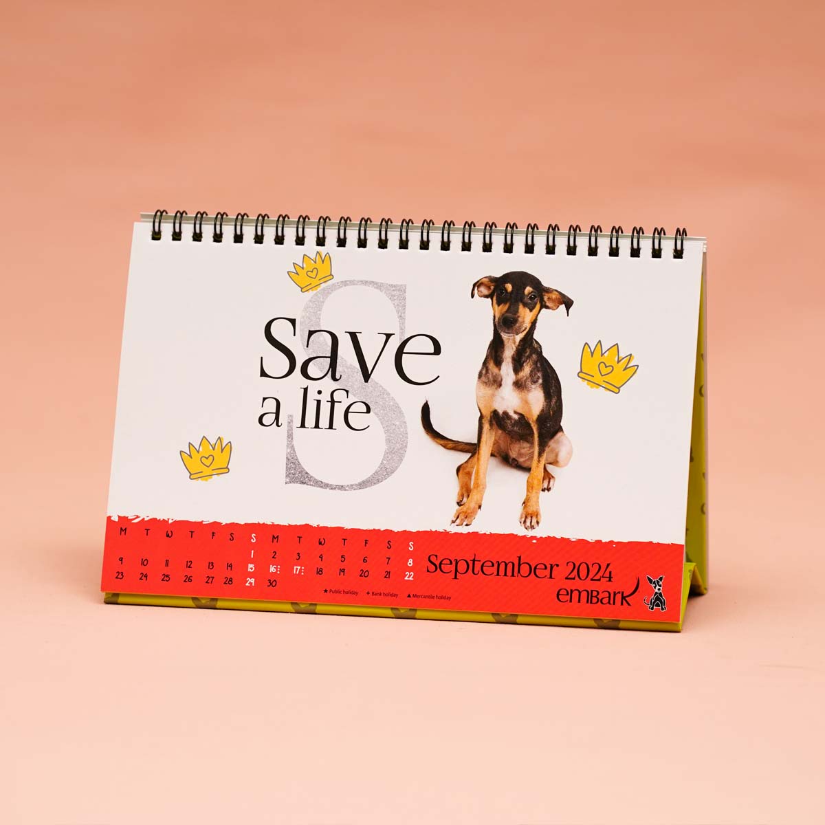 Embark 2024 Calendar