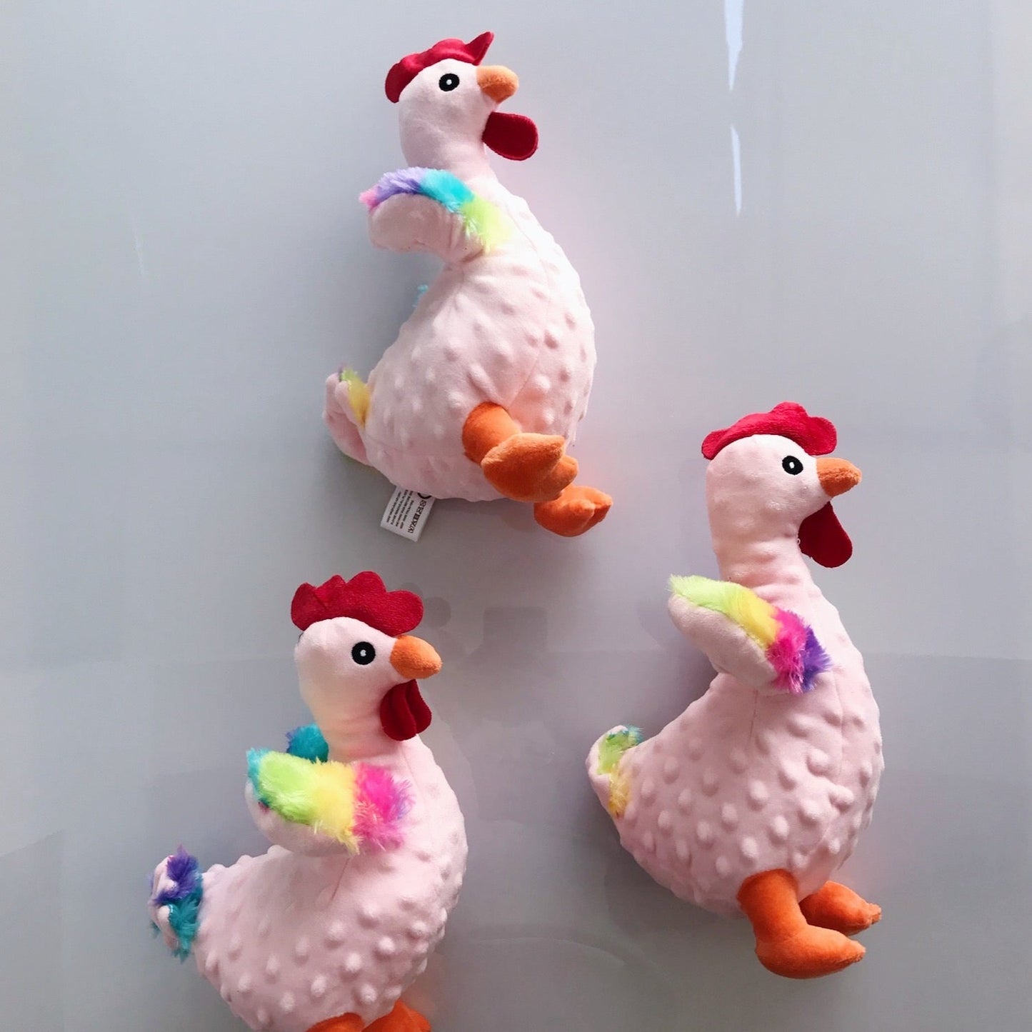 chicken bear