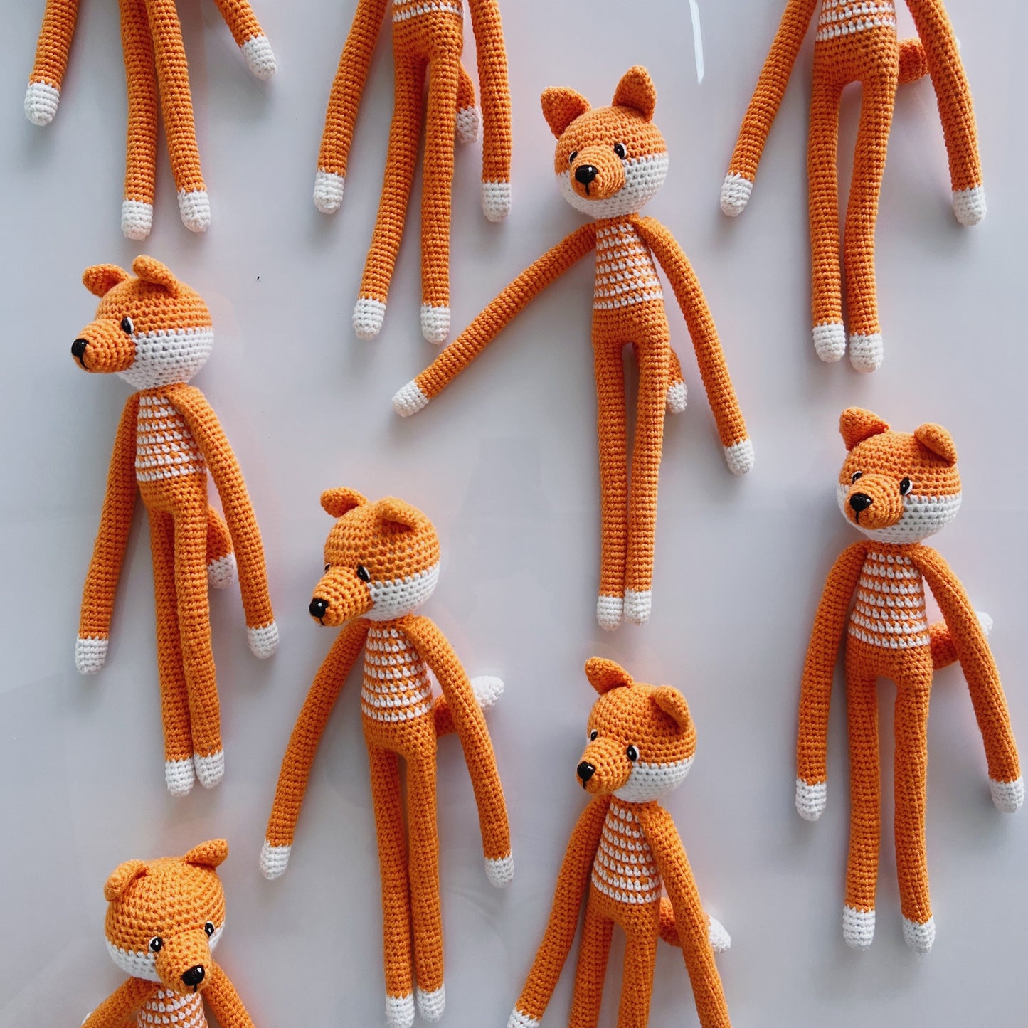 Feisty the Fox