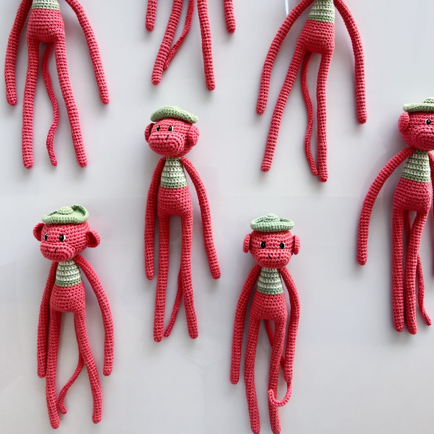 Noodle the Monkey