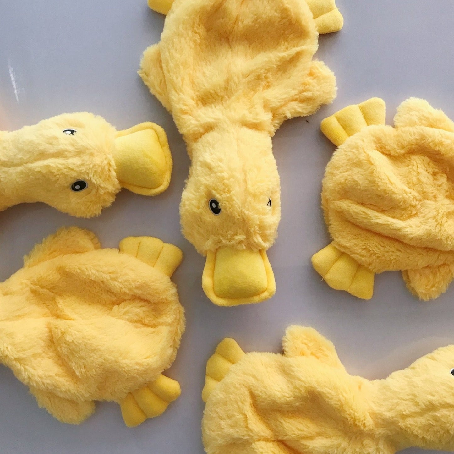 yellow Duck