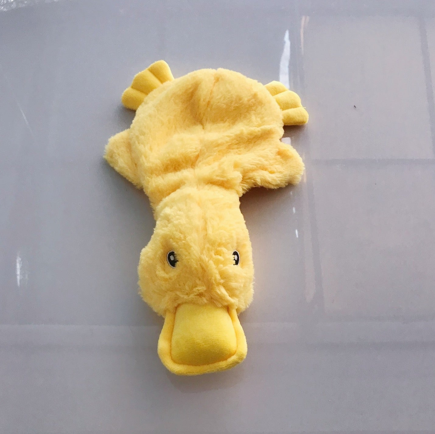 yellow Duck
