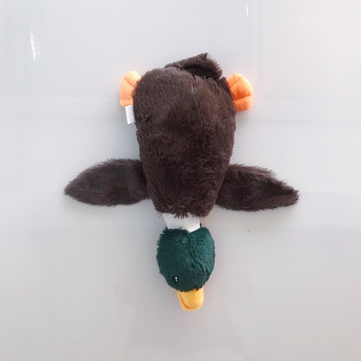 Brown Duck