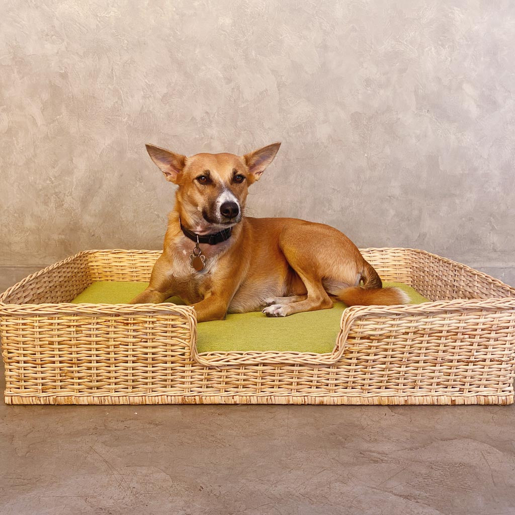 Dog Wicker Beds