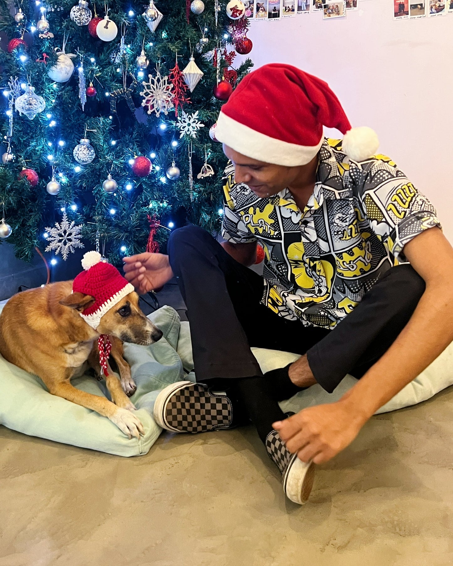 Dog Christmas Beanie