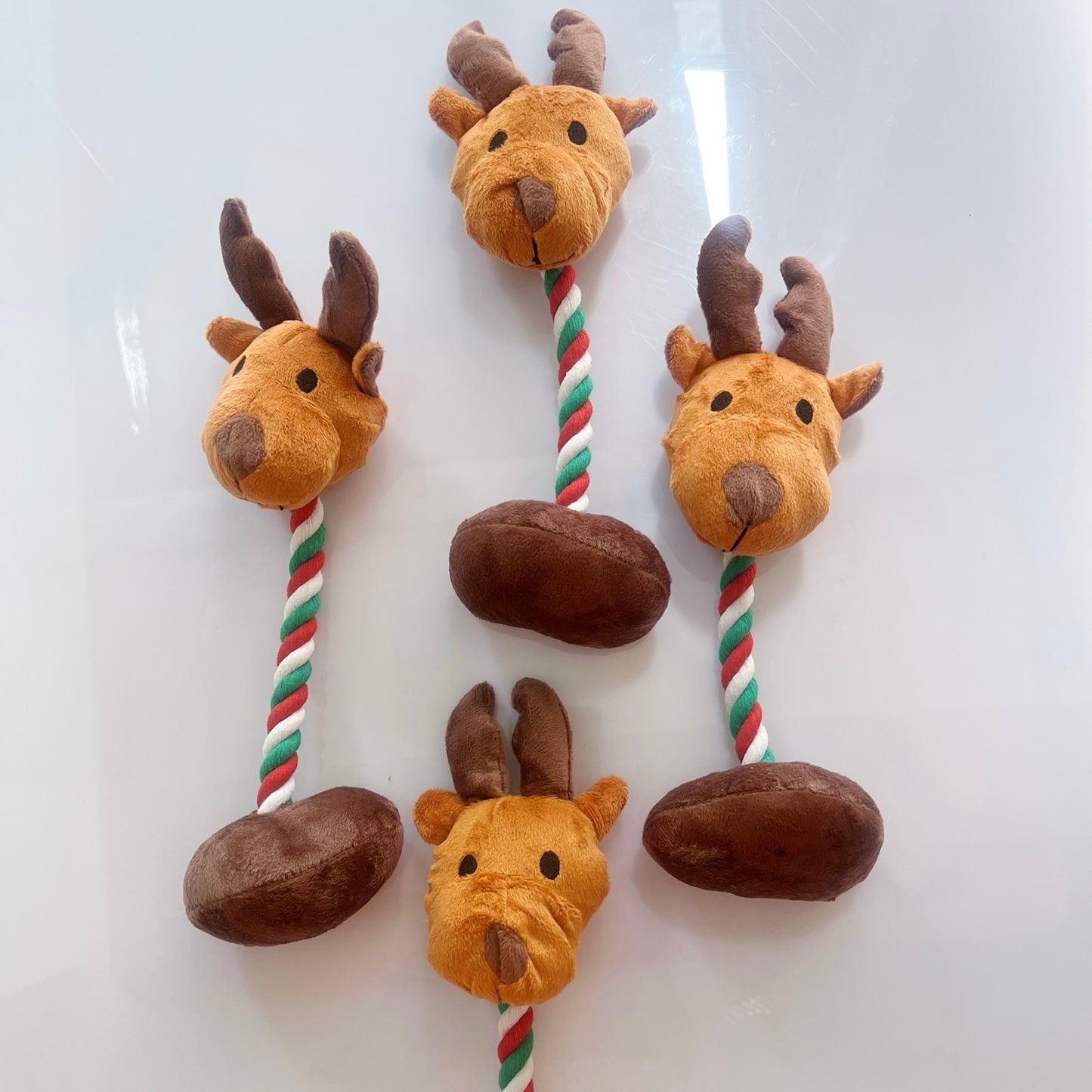 Rudolph Bear