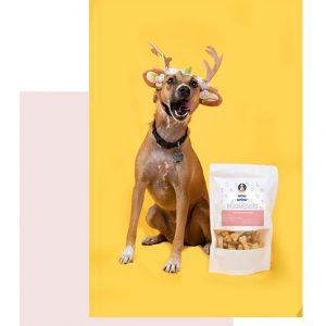 Vegan Cookies