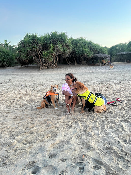 Pet-Friendly Hotels and Villas Personally Recommended by Tayo Bear