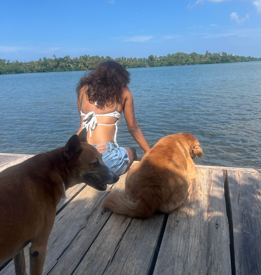 Kurulu Bay Trees, Tranquility and One Mango Adventure
