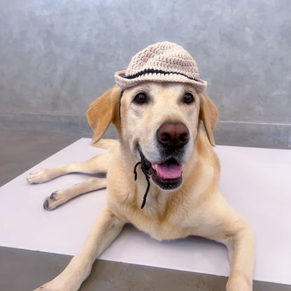 Bowler Crochet Dog Hat