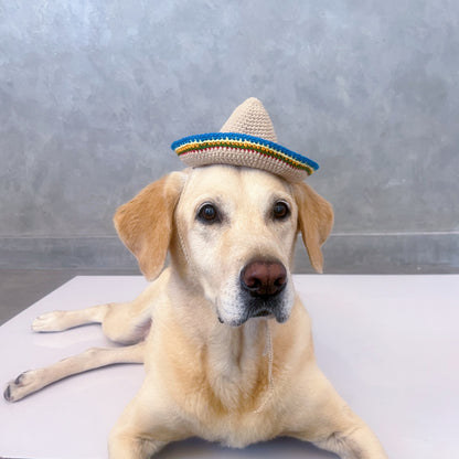 Sombrero Crochet Dog Hat
