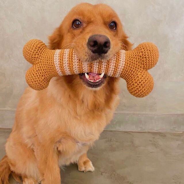 Crochet Bone Toy