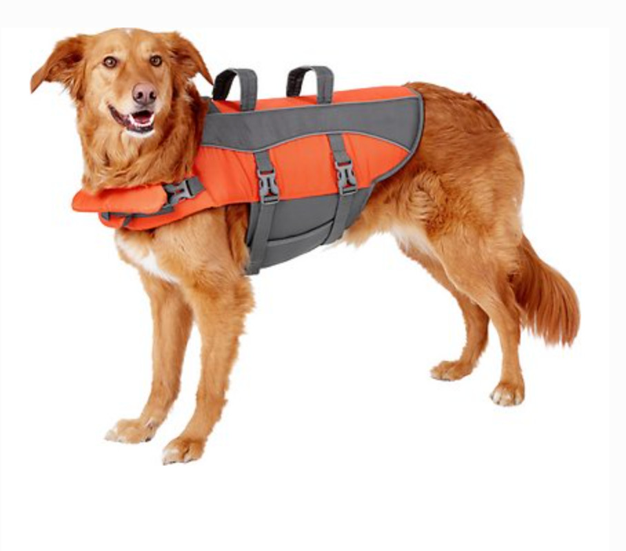 Dog Lifevests